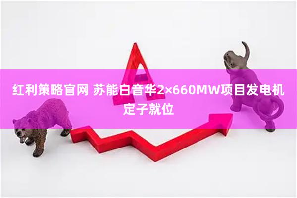 红利策略官网 苏能白音华2×660MW项目发电机定子就位