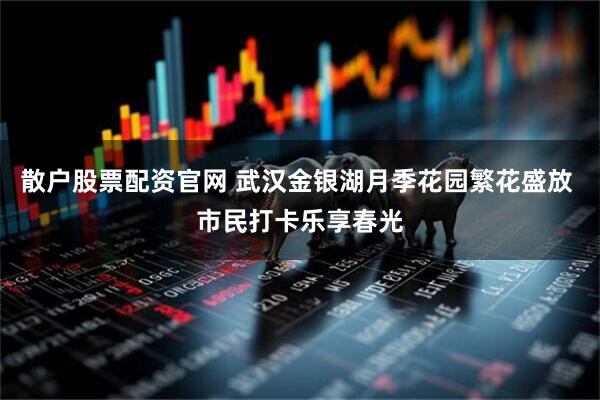 散户股票配资官网 武汉金银湖月季花园繁花盛放 市民打卡乐享春光